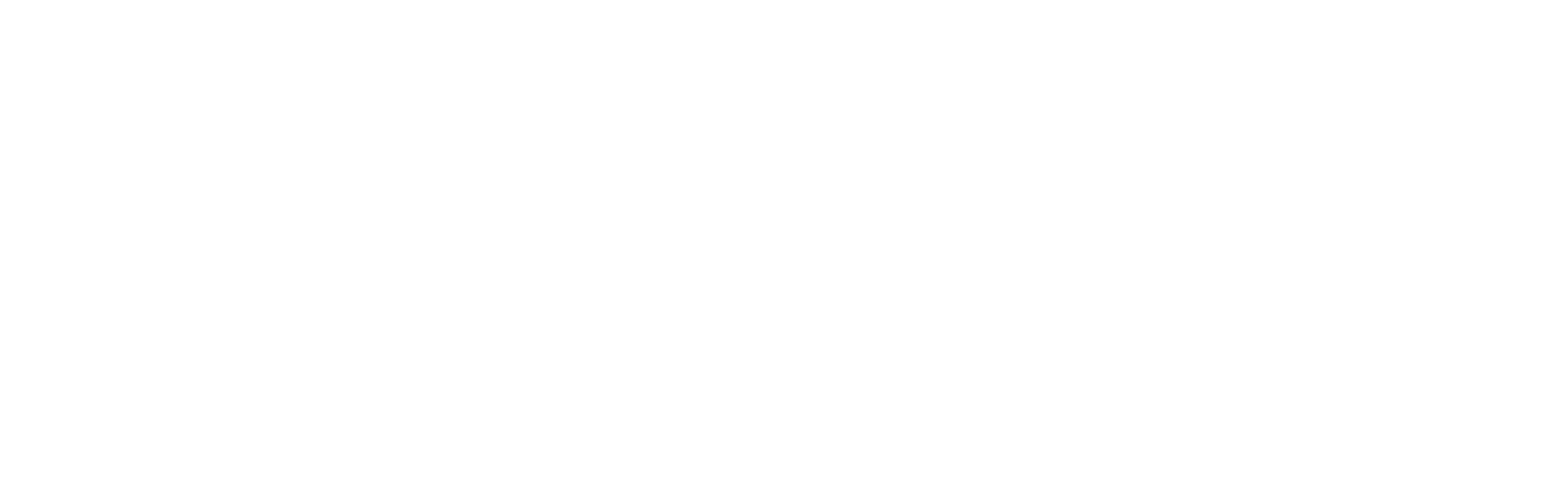 Logo Poly