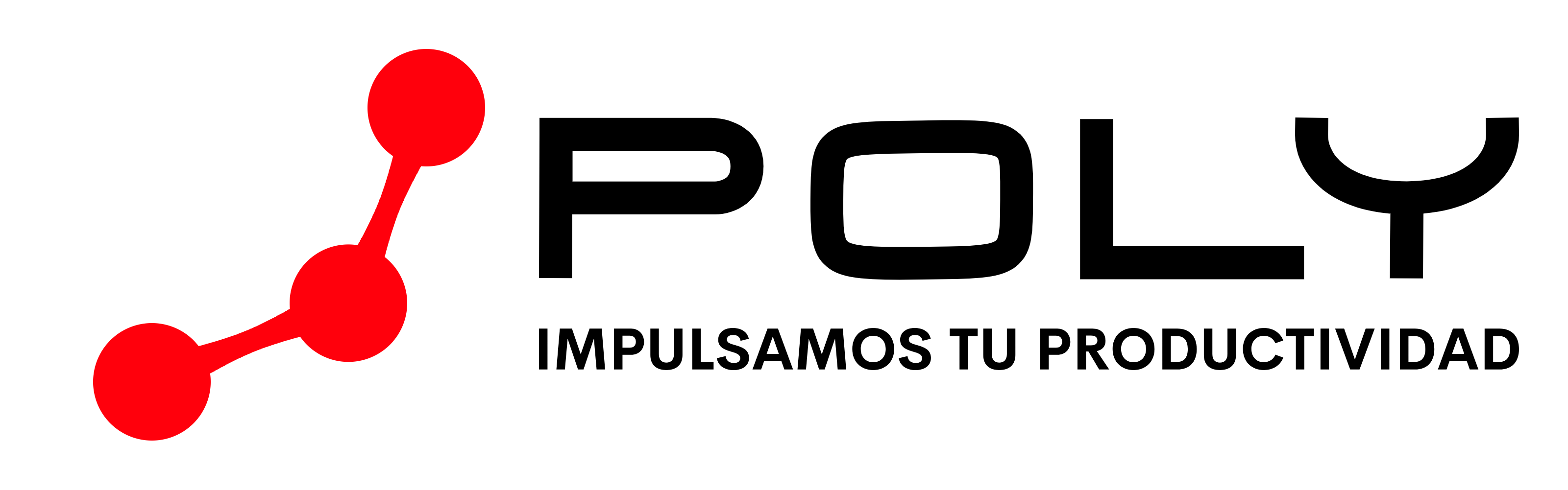 Logo PolyPMG
